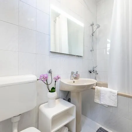 Apartment Lapad Studio